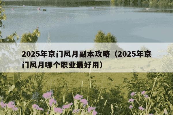 2025年京门风月副本攻略(2025年京门风月哪个职业最好用)