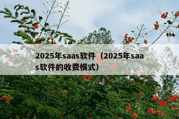 2025年saas软件（2025年saas软件的收费模式）