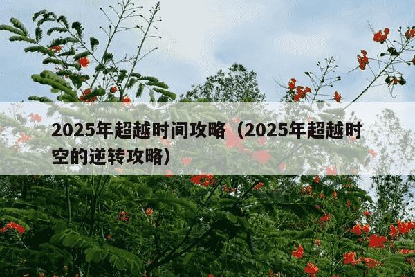 2025年超越时间攻略(2025年超越时空的逆转攻略)