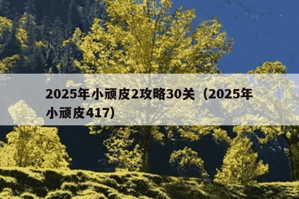 2025年小顽皮2攻略30关（2025年小顽皮417）
