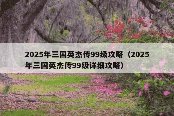 2025年三国英杰传99级攻略（2025年三国英杰传99级详细攻略）