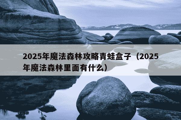2025年魔法森林攻略青蛙盒子(2025年魔法森林里面有什么)