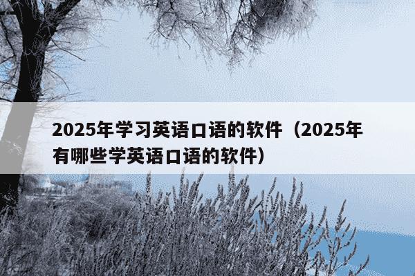 2025年学习英语口语的软件(2025年有哪些学英语口语的软件)