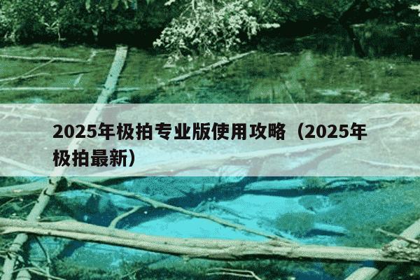 2025年极拍专业版使用攻略（2025年极拍最新）
