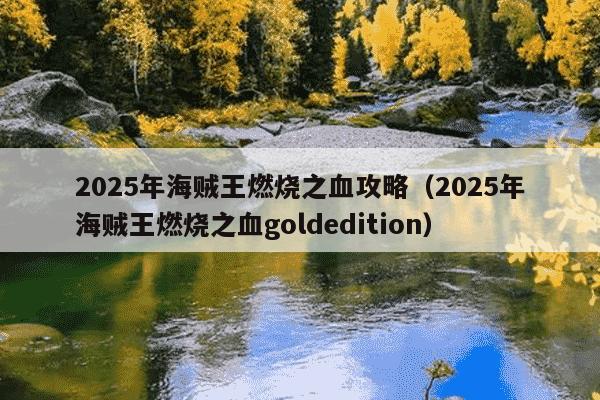 2025年海贼王燃烧之血攻略(2025年海贼王燃烧之血goldedition)