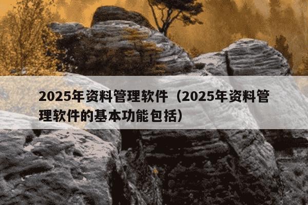 2025年资料管理软件(2025年资料管理软件的基本功能包括)