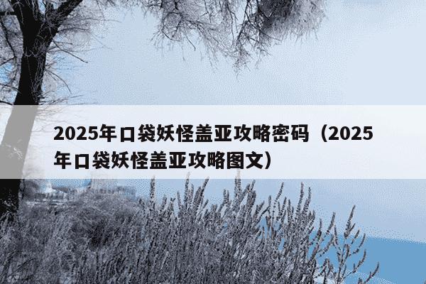 2025年口袋妖怪盖亚攻略密码（2025年口袋妖怪盖亚攻略图文）