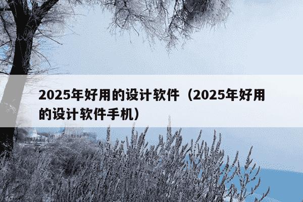 2025年好用的设计软件（2025年好用的设计软件手机）