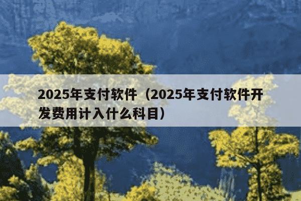 2025年支付软件（2025年支付软件开发费用计入什么科目）