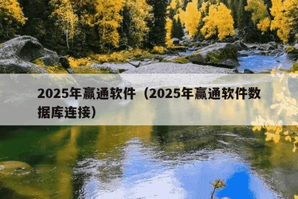 2025年赢通软件（2025年赢通软件数据库连接）