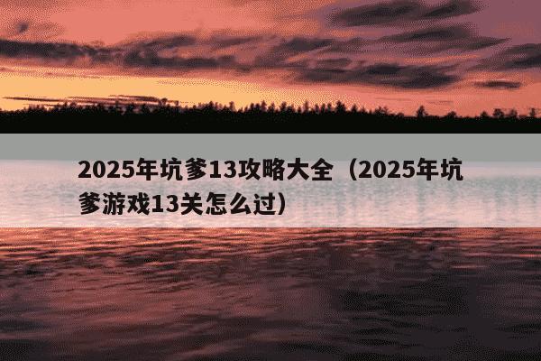 2025年坑爹13攻略大全（2025年坑爹游戏13关怎么过）