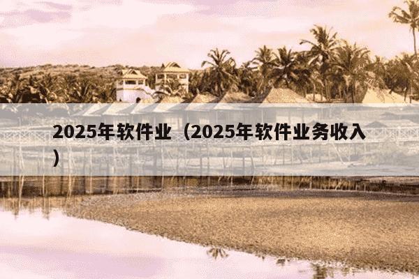 2025年软件业（2025年软件业务收入）