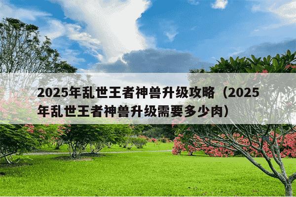 2025年乱世王者神兽升级攻略（2025年乱世王者神兽升级需要多少肉）