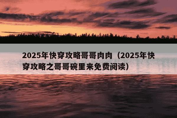 2025年快穿攻略哥哥肉肉（2025年快穿攻略之哥哥碗里来免费阅读）