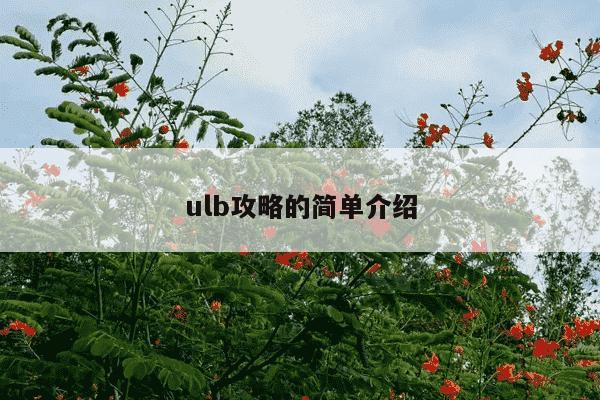 ulb攻略的简单介绍