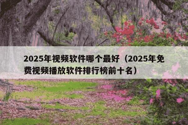 2025年视频软件哪个最好(2025年免费视频播放软件排行榜前十名)