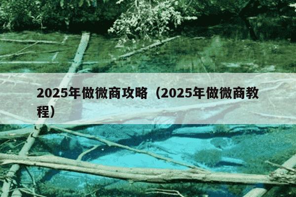 2025年做微商攻略（2025年做微商教程）