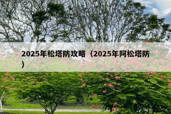 2025年松塔防攻略（2025年阿松塔防）