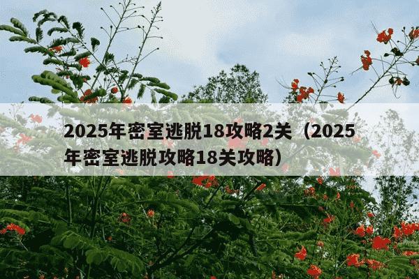 2025年密室逃脱18攻略2关（2025年密室逃脱攻略18关攻略）