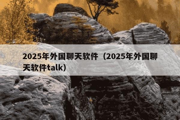 2025年外国聊天软件（2025年外国聊天软件talk）