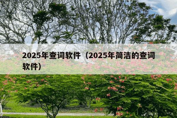 2025年查词软件(2025年简洁的查词软件)