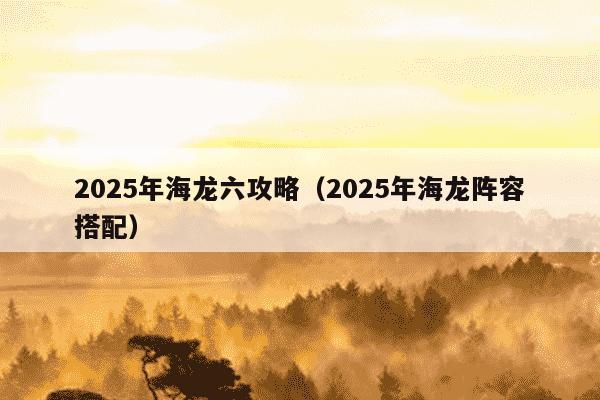 2025年海龙六攻略(2025年海龙阵容搭配)