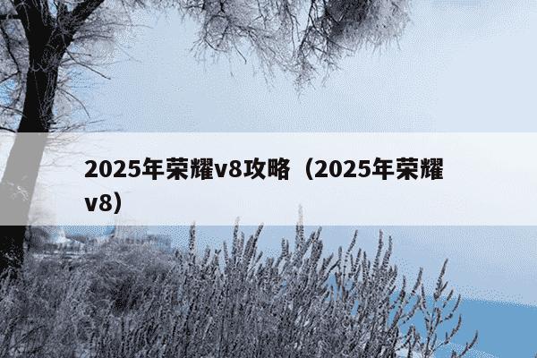 2025年荣耀v8攻略(2025年荣耀 v8)