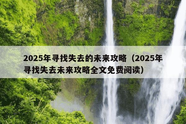 2025年寻找失去的未来攻略(2025年寻找失去未来攻略全文免费阅读)