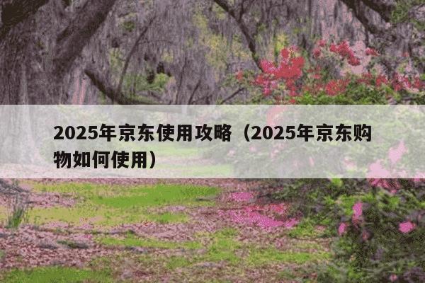 2025年京东使用攻略（2025年京东购物如何使用）