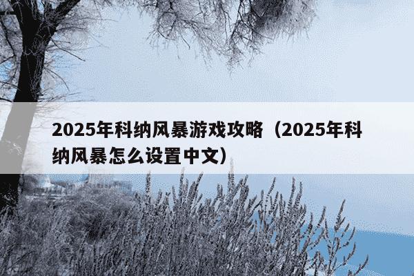 2025年科纳风暴游戏攻略（2025年科纳风暴怎么设置中文）