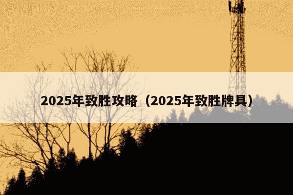 2025年致胜攻略（2025年致胜牌具）