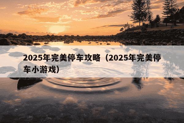 2025年完美停车攻略（2025年完美停车小游戏）