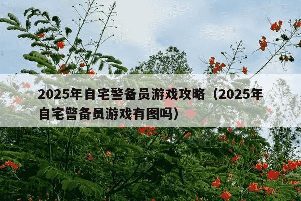 2025年自宅警备员游戏攻略（2025年自宅警备员游戏有图吗）