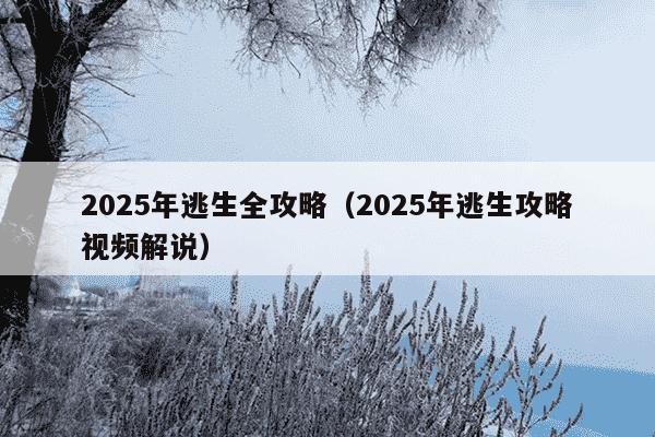 2025年逃生全攻略(2025年逃生攻略视频解说)