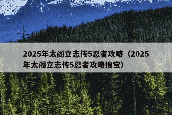 2025年太阁立志传5忍者攻略（2025年太阁立志传5忍者攻略搜宝）