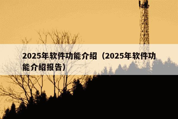 2025年软件功能介绍(2025年软件功能介绍报告)