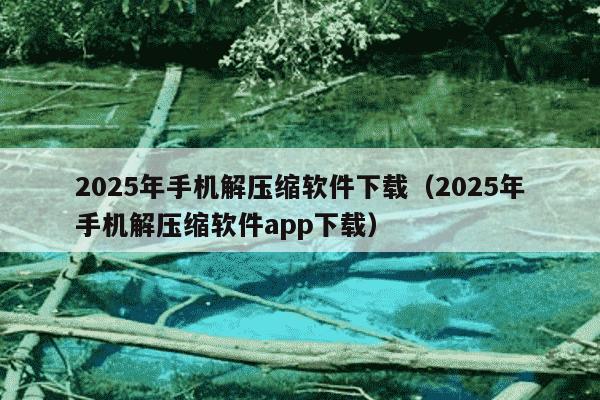 2025年手机解压缩软件下载（2025年手机解压缩软件app下载）