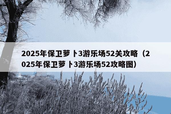 2025年保卫萝卜3游乐场52关攻略（2025年保卫萝卜3游乐场52攻略图）