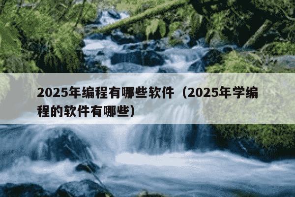 2025年编程有哪些软件（2025年学编程的软件有哪些）