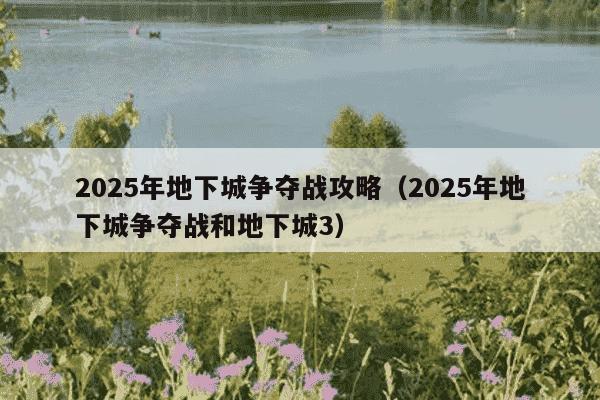 2025年地下城争夺战攻略(2025年地下城争夺战和地下城3)