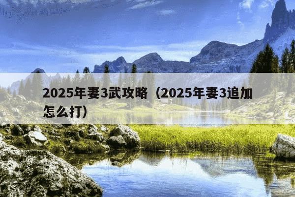 2025年妻3武攻略（2025年妻3追加怎么打）