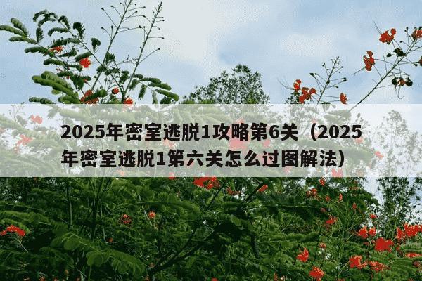 2025年密室逃脱1攻略第6关（2025年密室逃脱1第六关怎么过图解法）