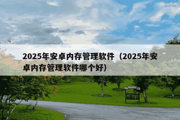 2025年安卓内存管理软件(2025年安卓内存管理软件哪个好)