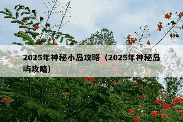 2025年神秘小岛攻略(2025年神秘岛屿攻略)