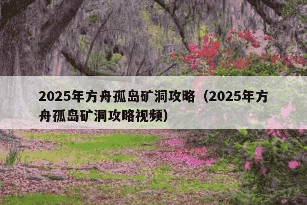 2025年方舟孤岛矿洞攻略（2025年方舟孤岛矿洞攻略视频）