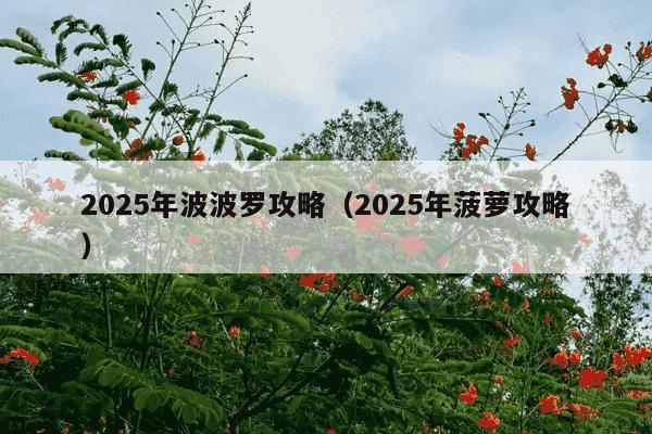 2025年波波罗攻略(2025年菠萝攻略)