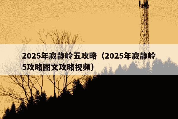2025年寂静岭五攻略(2025年寂静岭5攻略图文攻略视频)