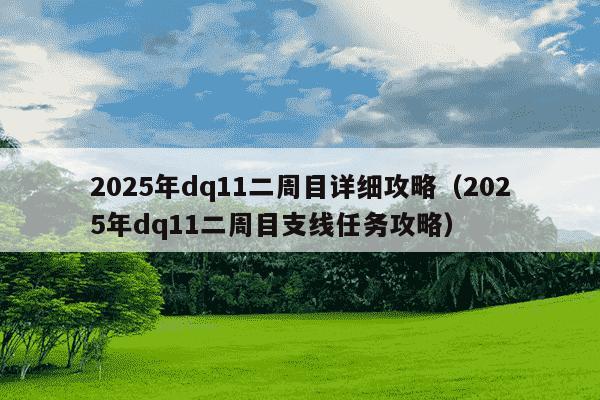 2025年dq11二周目详细攻略(2025年dq11二周目支线任务攻略)