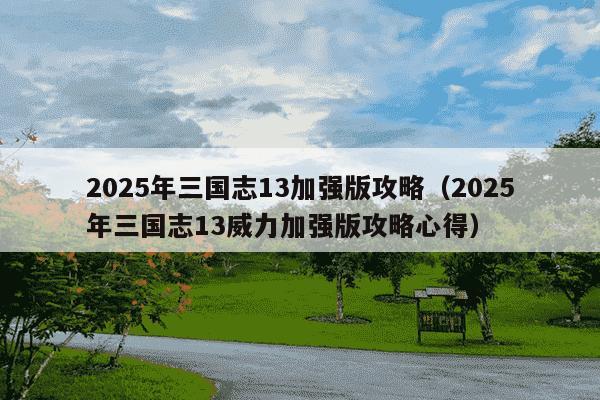 2025年三国志13加强版攻略（2025年三国志13威力加强版攻略心得）