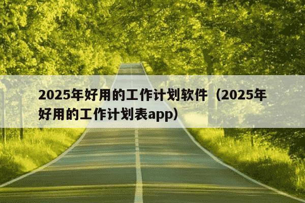 2025年好用的工作计划软件（2025年好用的工作计划表app）